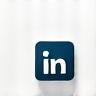 LinkedIn monochrome icon